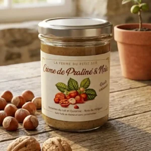 Crème-de-praliné-noisettes-du-lot-et-garonne-et-noix-du-périgord-le-pot-est-sur-une-table-de-cuisine-en-bois-avec-des-noisettes-et-noix-autour