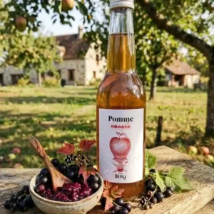 Jus-de-pomme-au-cassis-la-ferme-du-petit-sud